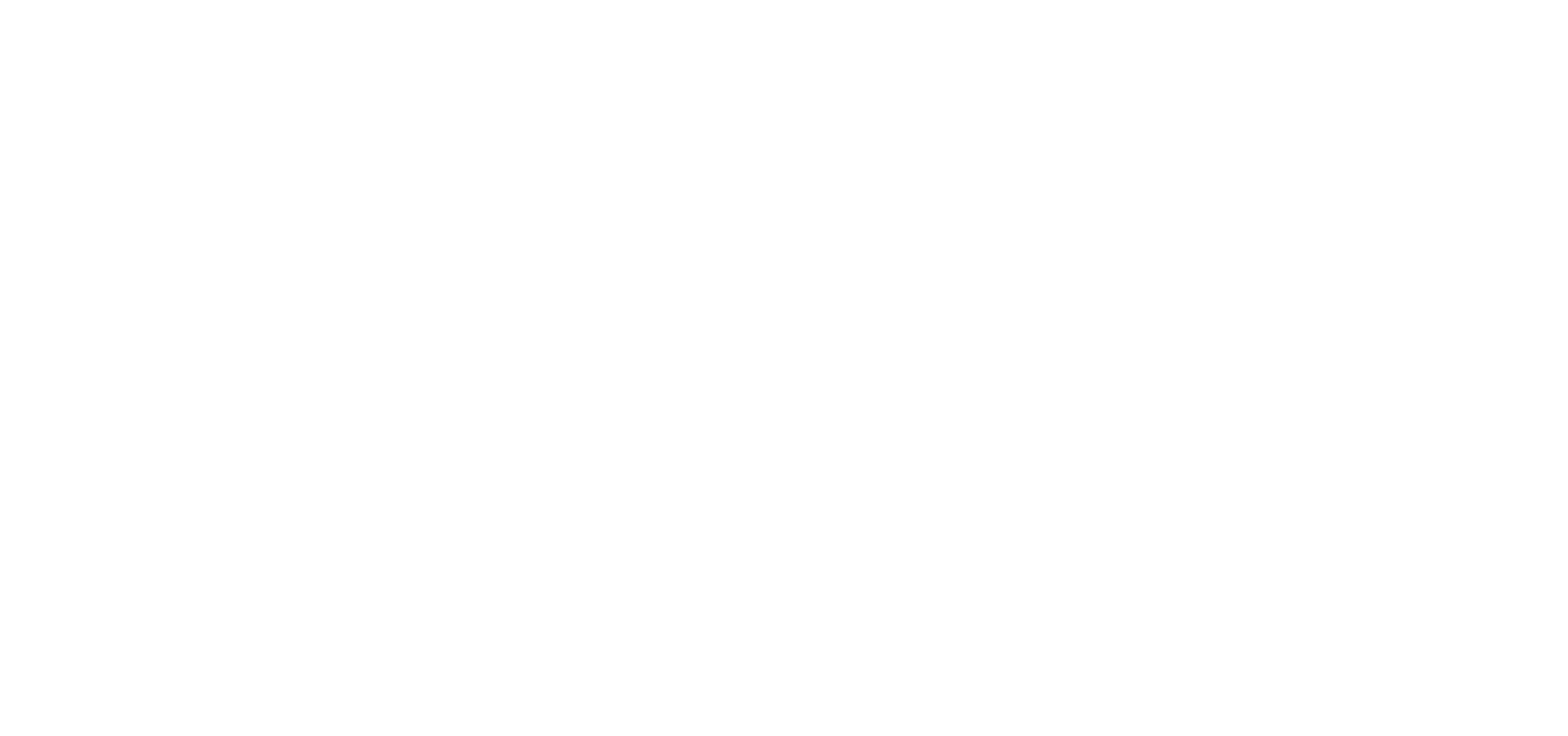 BRU_Logo 1