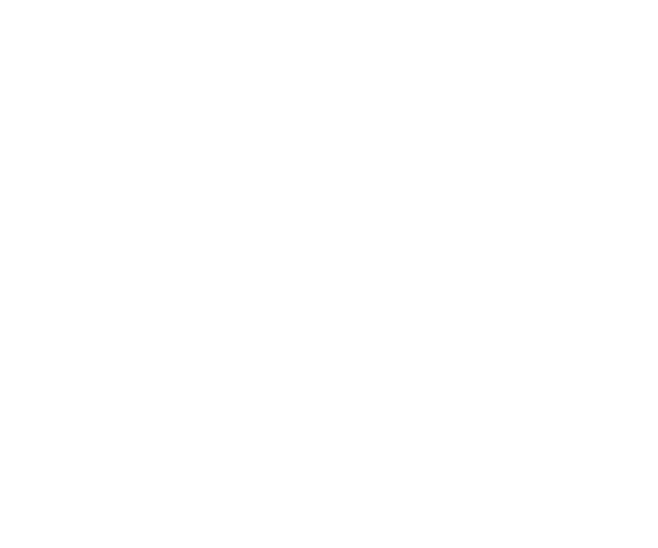 BRU_Logo 1